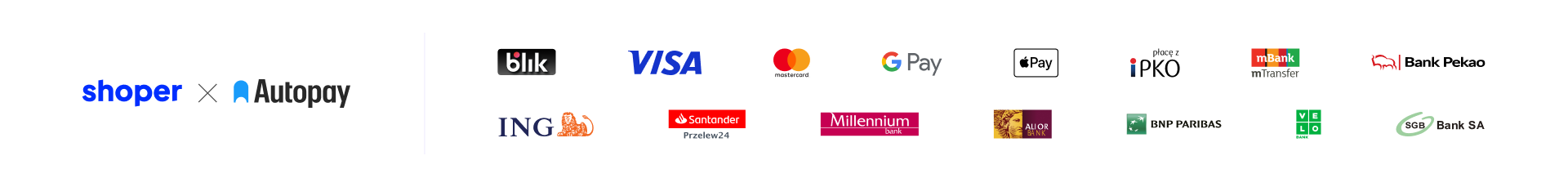 Płatności BlueMedia i Shoper Płatności